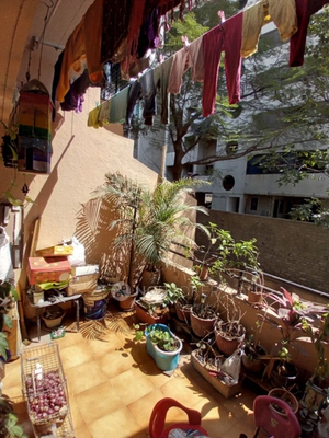 2 BHK Flat In Shree Mahaganesh Nagari for Rent  In Keshav Nagar, Mundhwa