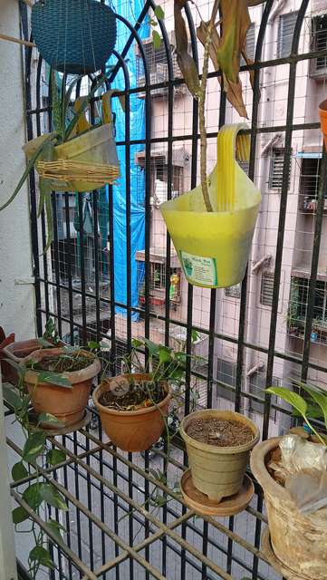 1 BHK Flat In Shree Sainath Chs For Sale  In Bhandup East