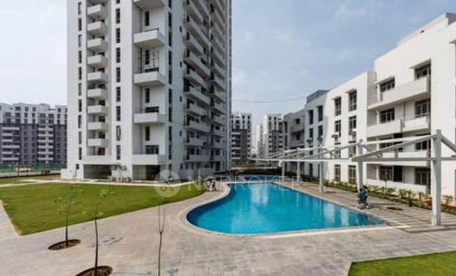 3 BHK Flat In Vatika Lifestyle Homes for Rent  In Sector 83