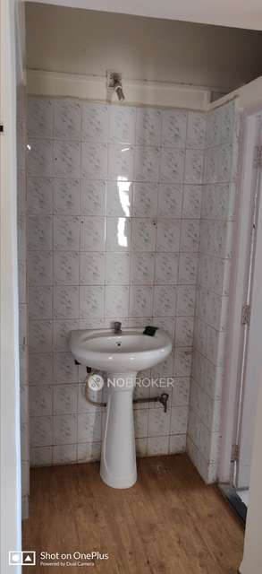 1 BHK Flat In Sharda Park for Rent  In Aundh