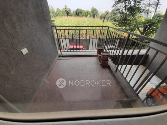 1 BHK Flat In Aqua Marina for Rent  In Ravet