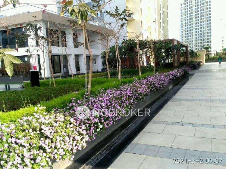 2 BHK Flat In Yashwin for Rent  In Hinjawadi