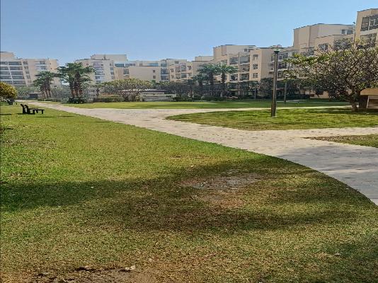 3 BHK Flat In Omaxe Palm Greens For Sale  In Sector Mu