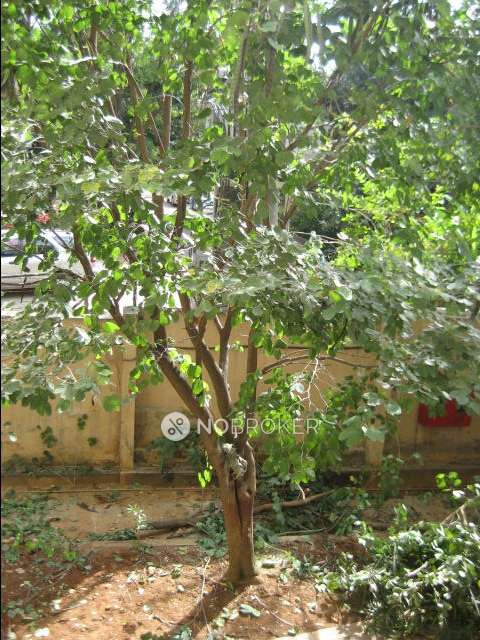 2 BHK Flat In Gopalan Celestial Greens Apartments, C V Raman Nagar For Sale  In C V Raman Nagar