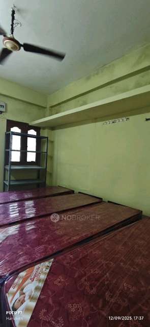 PG for Boys in Ameerpet