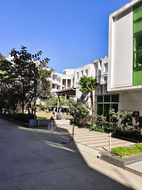 2 BHK Flat In Manjri Greens Annexe for Rent  In Manjari Budruk