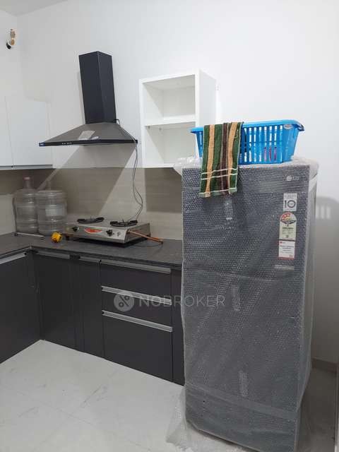 2 BHK Flat In Kalpataru Exquisite Wing 2 for Rent  In Wakad