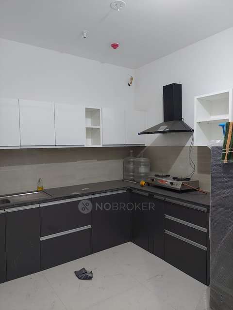 2 BHK Flat In Kalpataru Exquisite Wing 2 for Rent  In Wakad