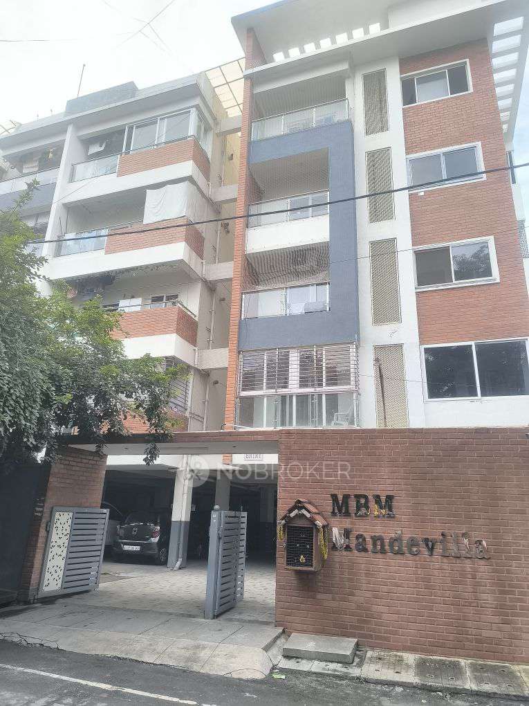 MBM Mandevilla
