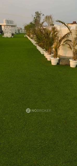 3 BHK Flat In Jasmine Apartment Ghitorni For Sale  In Ghitorni