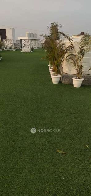 3 BHK Flat In Jasmine Apartment Ghitorni For Sale  In Ghitorni