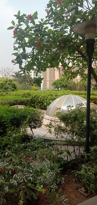 2 BHK Flat In Kolte Downtown Beryl For Sale  In Kharadi