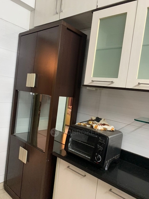 3 BHK Flat In Spring Valley for Rent  In Magarpatta City, Hadapsar