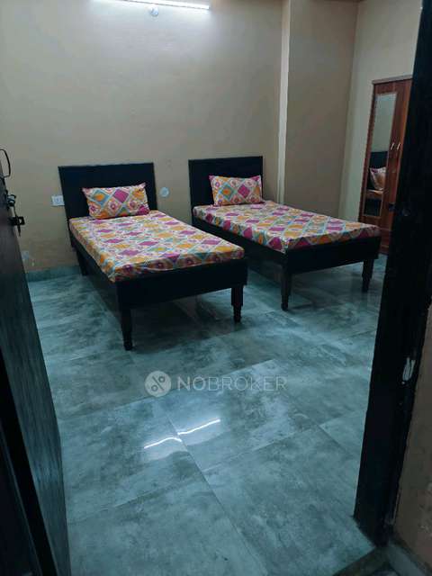 PG for Anyone in  Sector 63