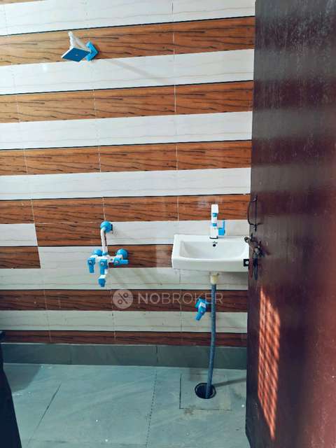 PG for Anyone in  Sector 63