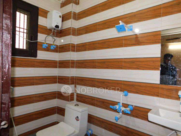 PG for Anyone in  Sector 63