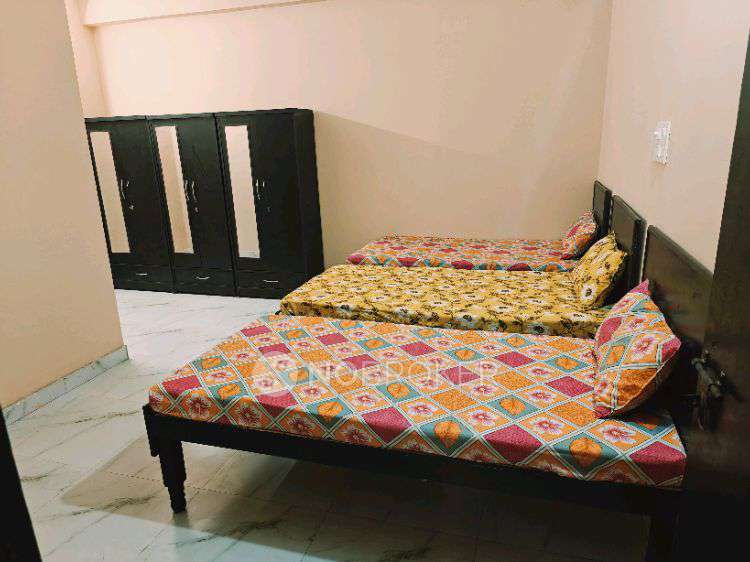 PG for Anyone in  Sector 63