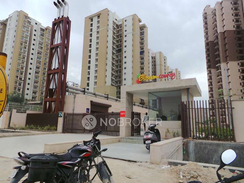 2 BHK Flat In Blossom County for Rent  In Sector 137