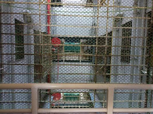 1 BHK Flat In Xrbia Eiffel City For Sale  In Chakan