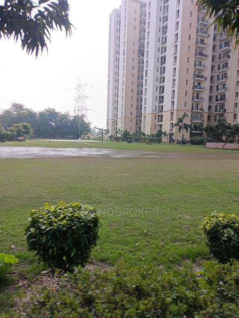 3 BHK Flat In Jaypee Kosmos For Sale  In Sector 134