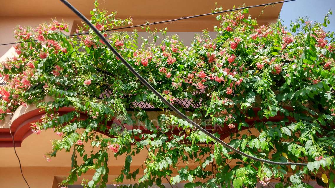 3 BHK House For Sale  In Friends Colony Old Faridabad