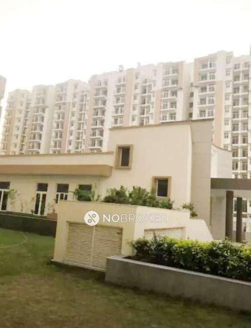 2 BHK Flat In Klj Platinum Heights for Rent  In Sector 77