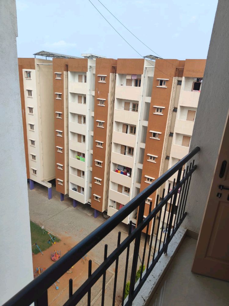 Shanders Dwellington