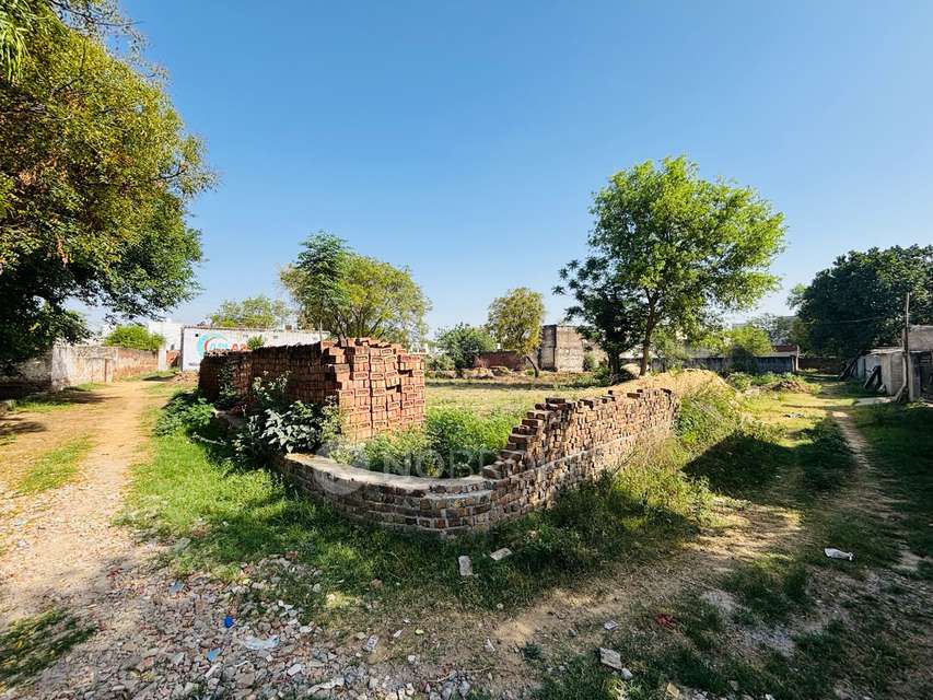 Plot For Sale  In Tikli