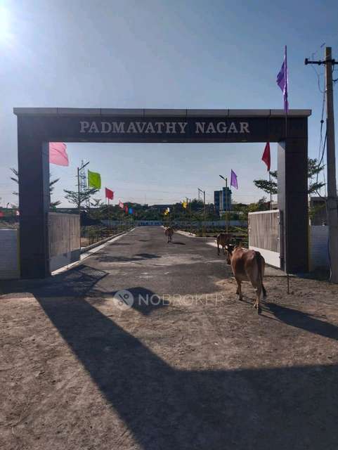Plot For Sale  In Padhmavathi Nagar In Oragadam Bus Stop