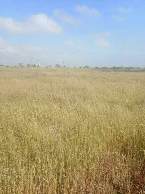 Plot For Sale  In Zaheerabad Town