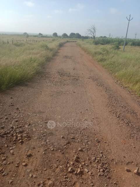 Plot For Sale  In Zaheerabad Town