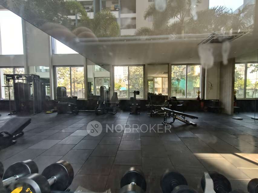 3 BHK Flat In Casa Imperia for Rent  In Wakad