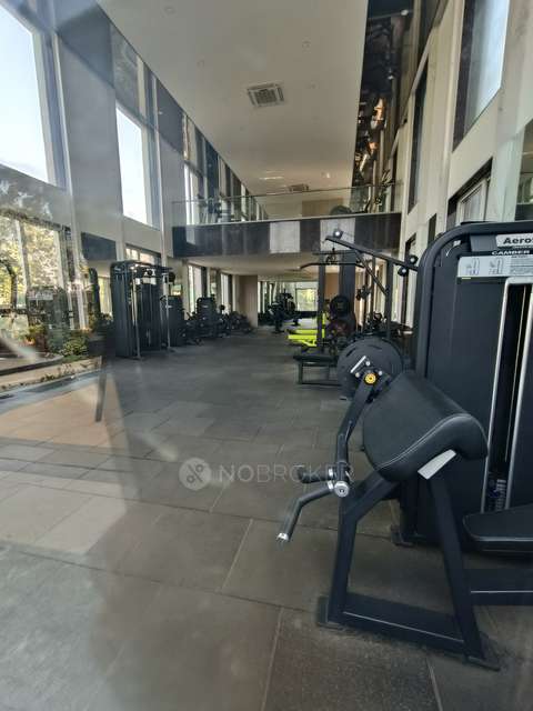 3 BHK Flat In Casa Imperia for Rent  In Wakad