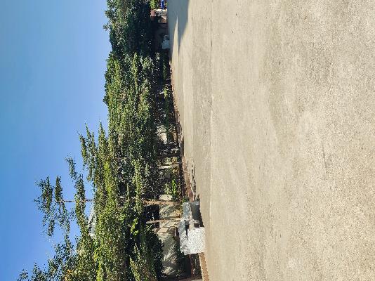 3 BHK Flat In Alpine Fiesta For Sale  In Whitefield