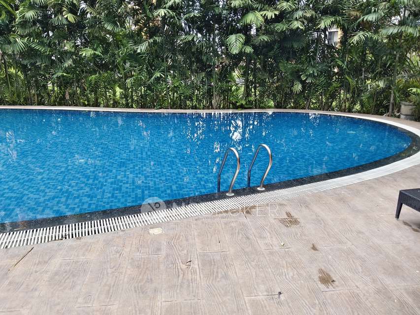 2 BHK Flat In Joyville Hinjewadi Crest Chs for Rent  In Joyville Hinjewadi