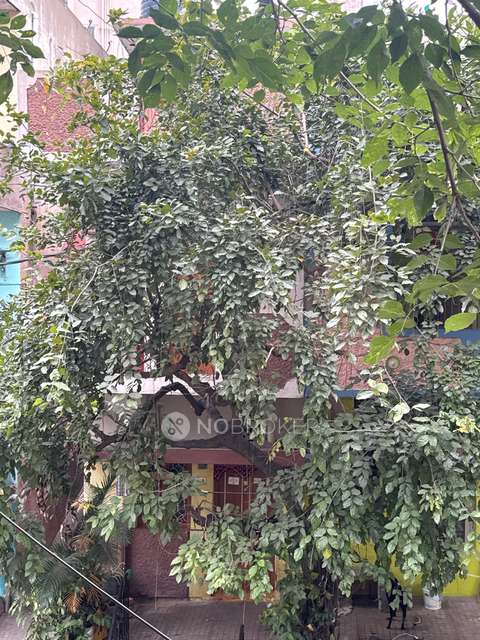 2 BHK Flat for Rent  In Guddadahalli