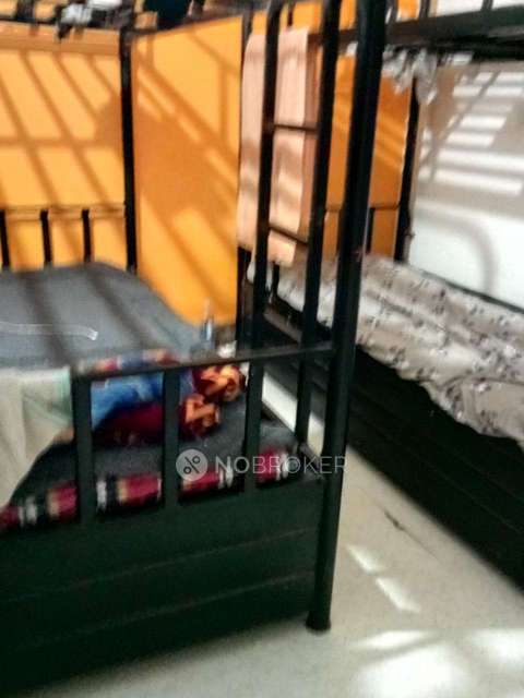 PG for Anyone in Abc Chowk