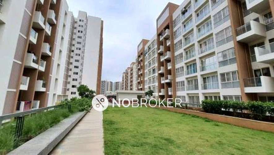 Shared Room for Male In 2 BHK  In Tensil County In Hinjewadi