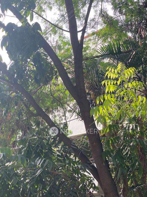 3 BHK Flat In Sree Ram Apartment For Sale  In  Vadapalani