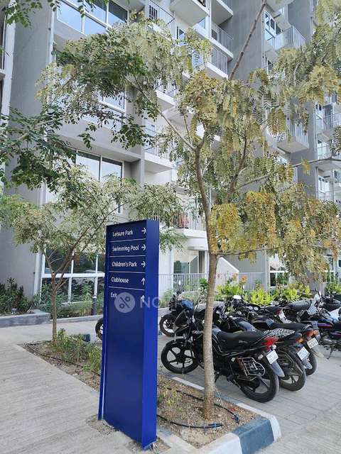 2 BHK Flat In Godrej Hillside for Rent  In Mahalunge