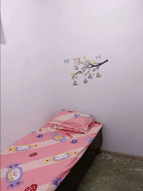 PG for Girls in Gtb Nagar 