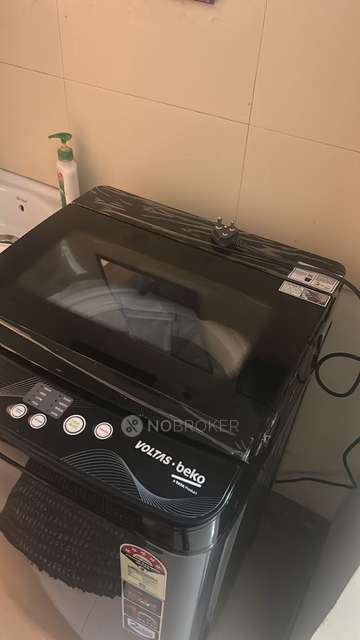 1 BHK Flat In Emerald Isle Co-op Housing Society for Rent  In Wagholi