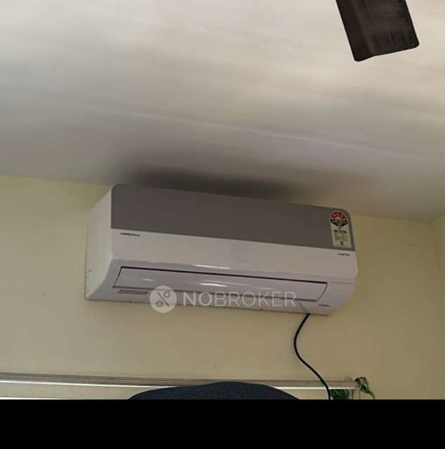 1 BHK Flat In Emerald Isle Co-op Housing Society for Rent  In Wagholi