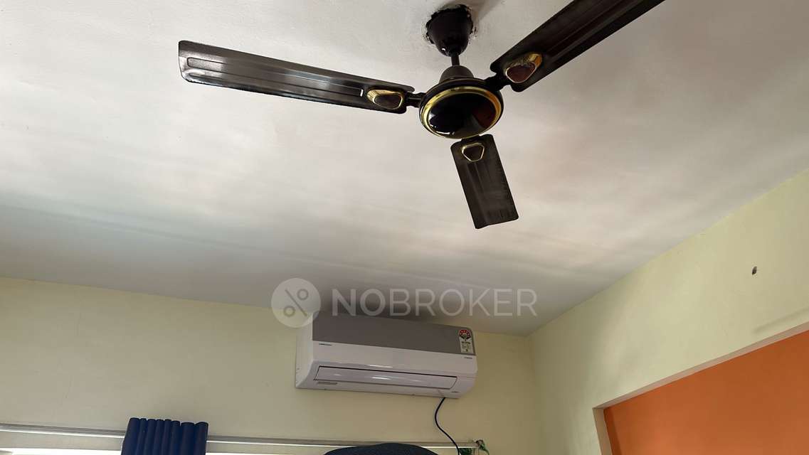 1 BHK Flat In Emerald Isle Co-op Housing Society for Rent  In Wagholi