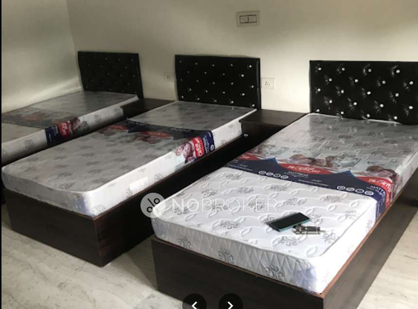 PG for Girls in Alpha I