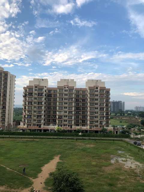 2 BHK Flat In Hcbs Sports Ville for Rent  In Sector 2 And 35