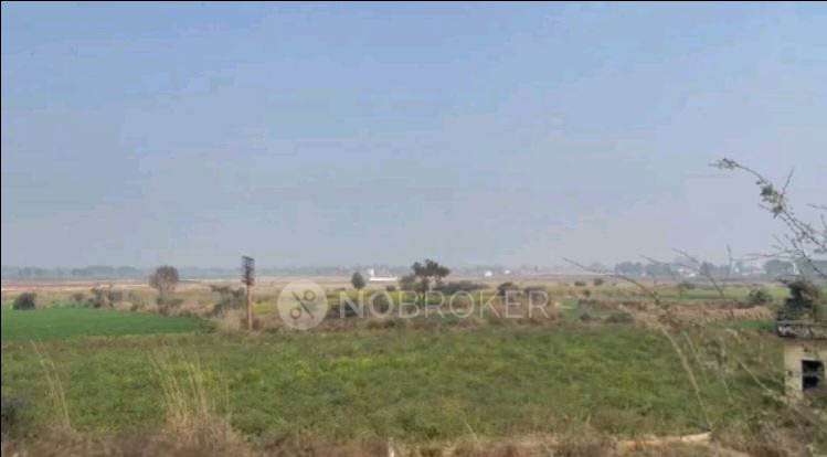 Plot For Sale  In 7 Milestone In Jewar Properties