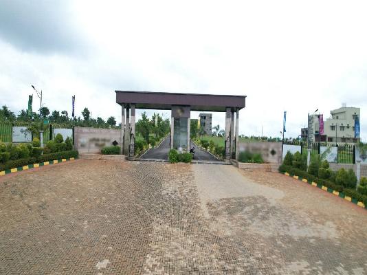 Plot For Sale  In Wonder La