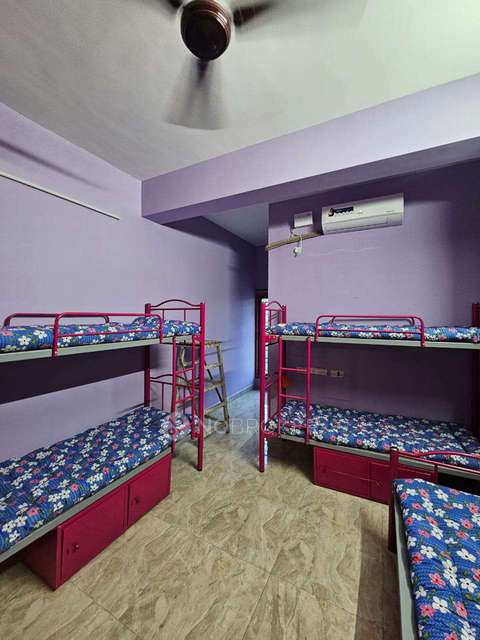 PG for Girls in Kk Nagar