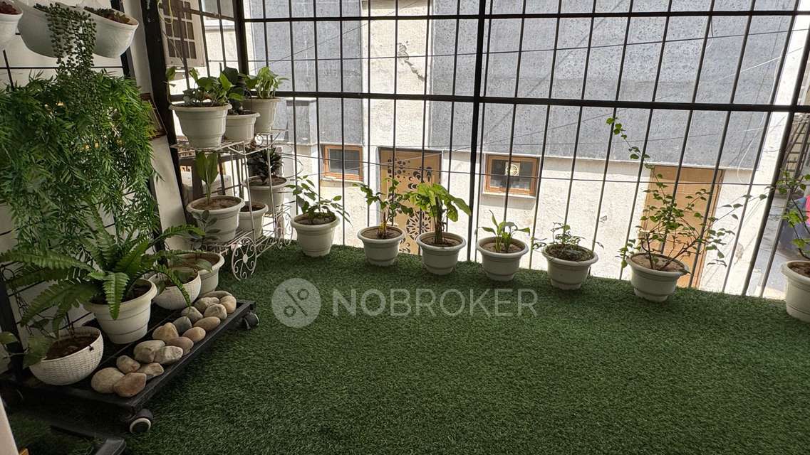 3 BHK Flat For Sale  In East Of Kailash